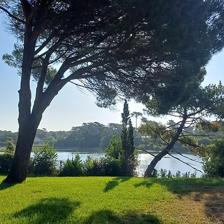 Apartamento Golf De Chiberta-3 By Interhome *