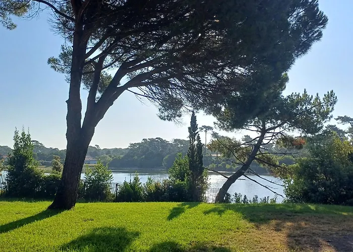 公寓 Golf De Chiberta-3 By Interhome *